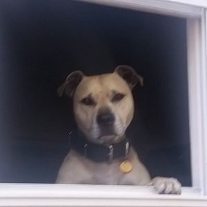 Meet your Posher, Dean